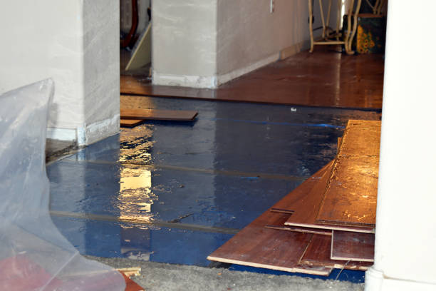 Professional Burst Pipe Cleanup technician working in Petersburg, VA