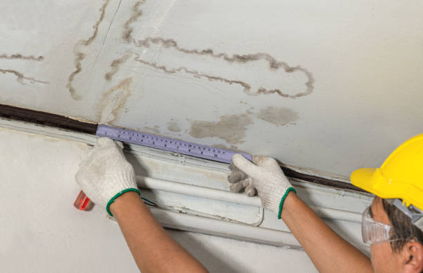 Reliable Burst Pipe Cleanup contractor in Petersburg, VA by Water Damage Irwin